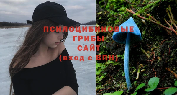 стафф Белокуриха