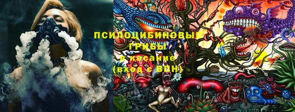 стафф Белокуриха